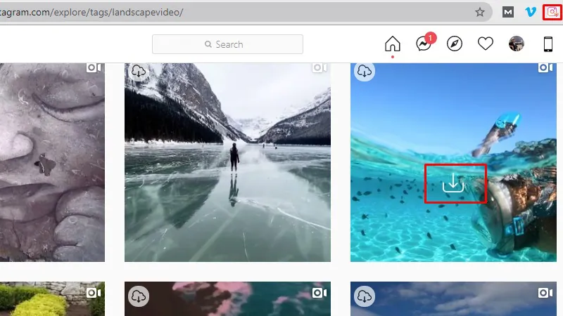 download instagram video on pc browser extension