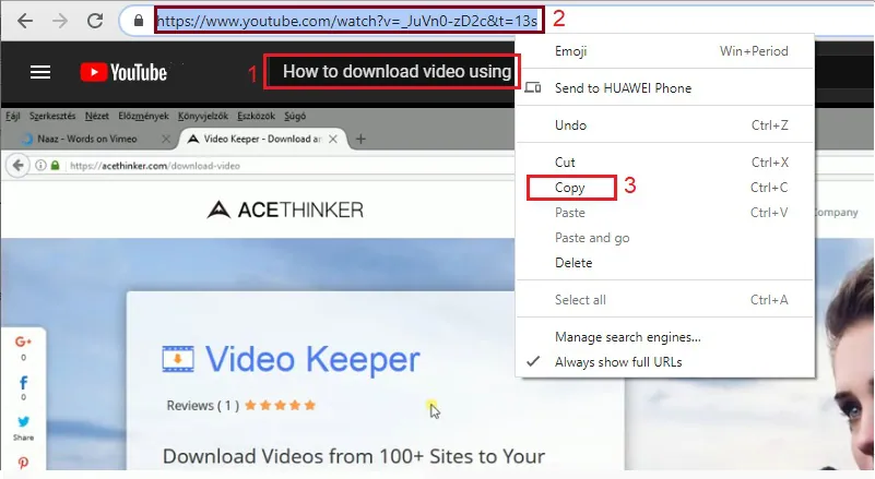search for the youtube video and copy the url