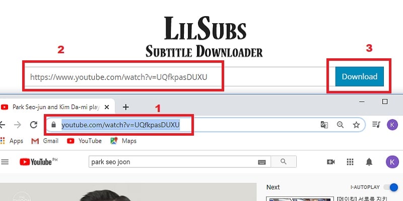 copy the youtube video url and paste to lilsubs