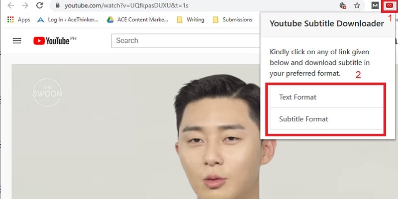 copy the youtube video url and paste to youtube subtitle