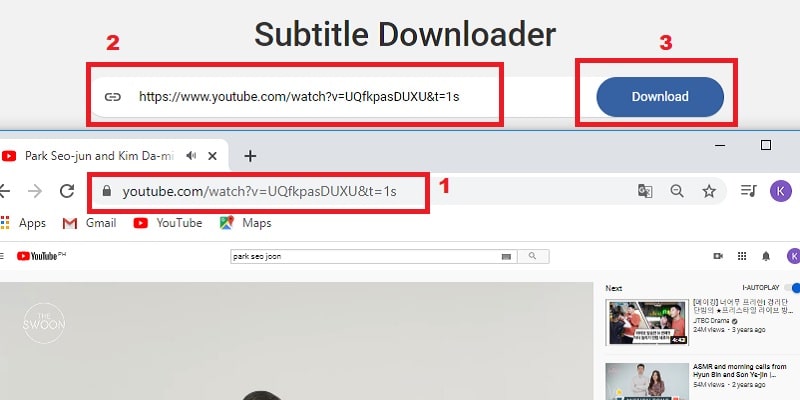 copy the youtube video url and paste to vidpaw