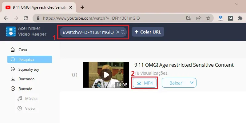 copy the url of the youtube video