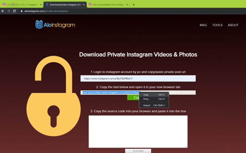 download private instagram videos with aloinstagram private downloader