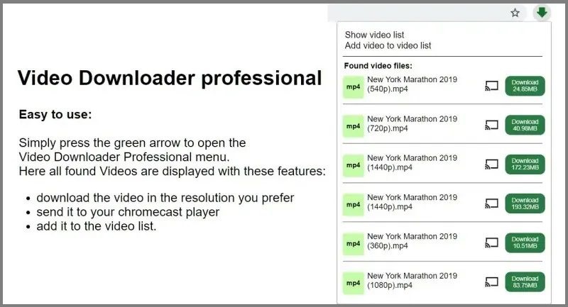 video downloader professional as vimeo downloader chrome