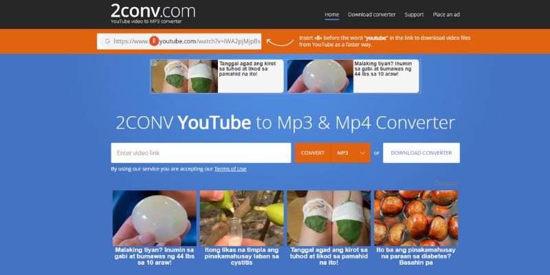 2conv for meme video download
