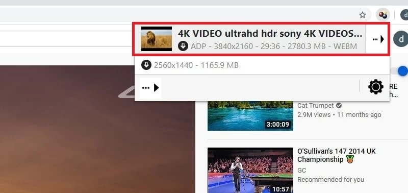 video download helper